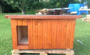 Psí bouda mini, ochranný nátě v barvě teaku, střesní krytina