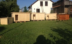 Naše nabídka psích bud