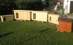 Naše nabídka psích bud